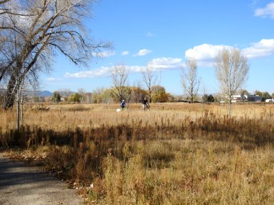 Springer Natural Area - Fort Collins.