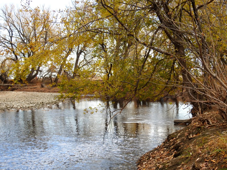 Kingfisher Point Natural Area and Springer