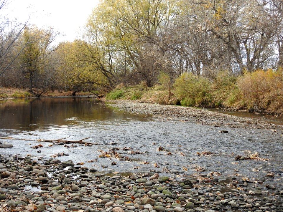 Kingfisher Point Natural Area and Springer