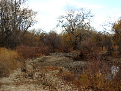Kingfisher Point Natural Area and Springer