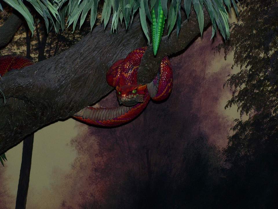 Eden garden temptation