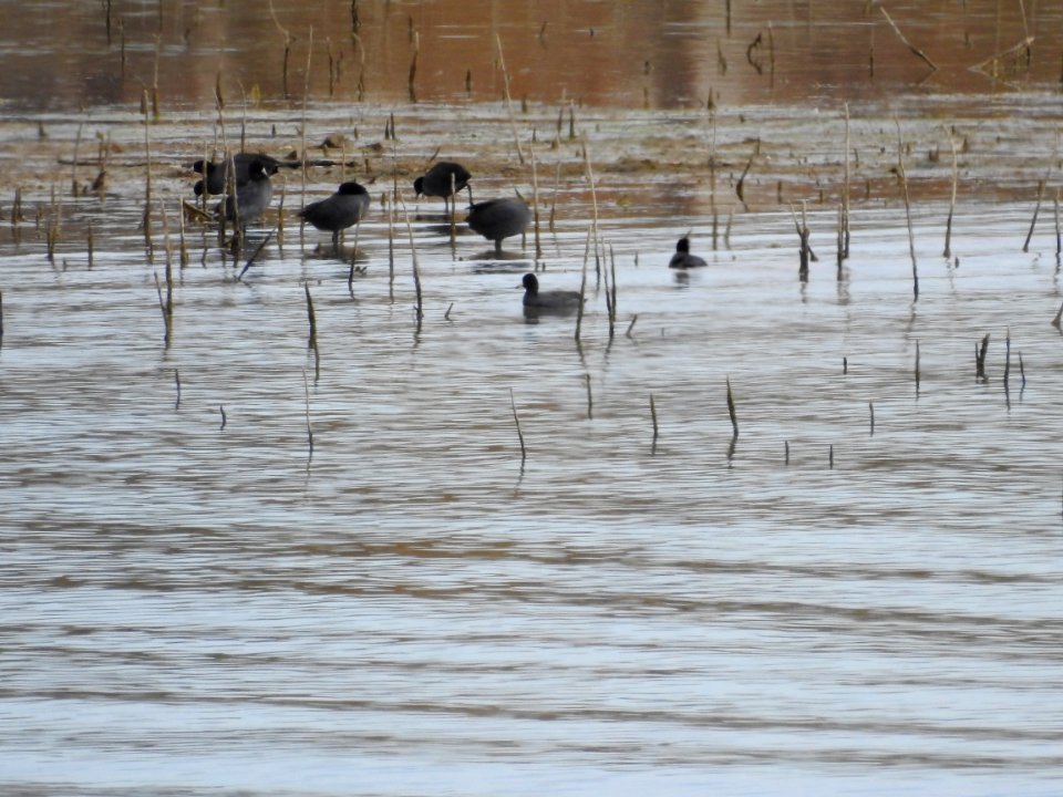 On the trail at Boyd Lake State Pk - Loveland, CO.