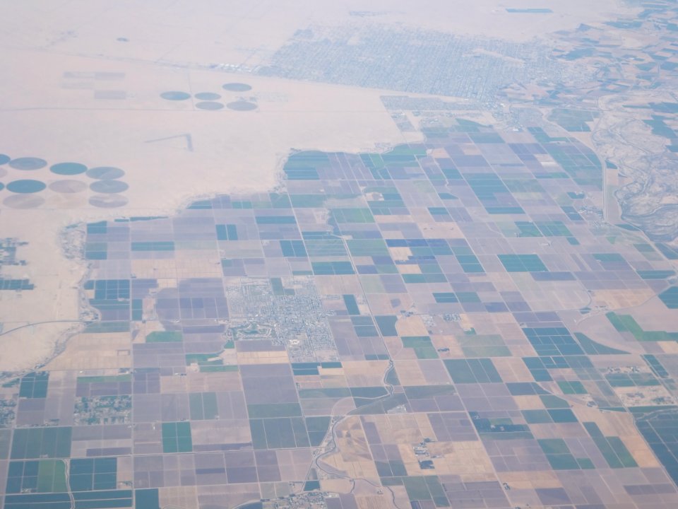DSCF3510