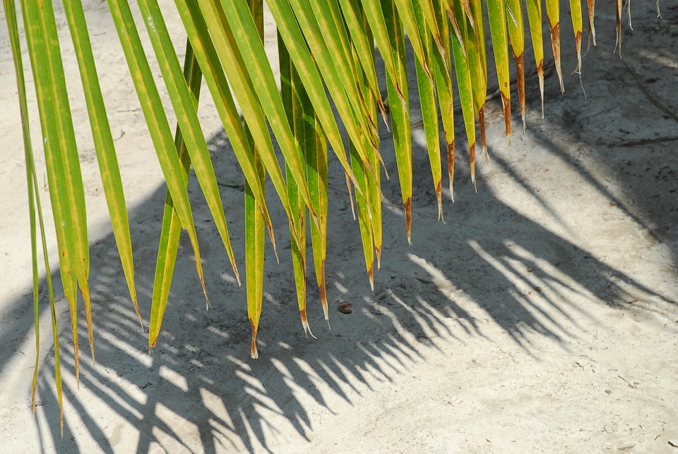 Background sheet beach