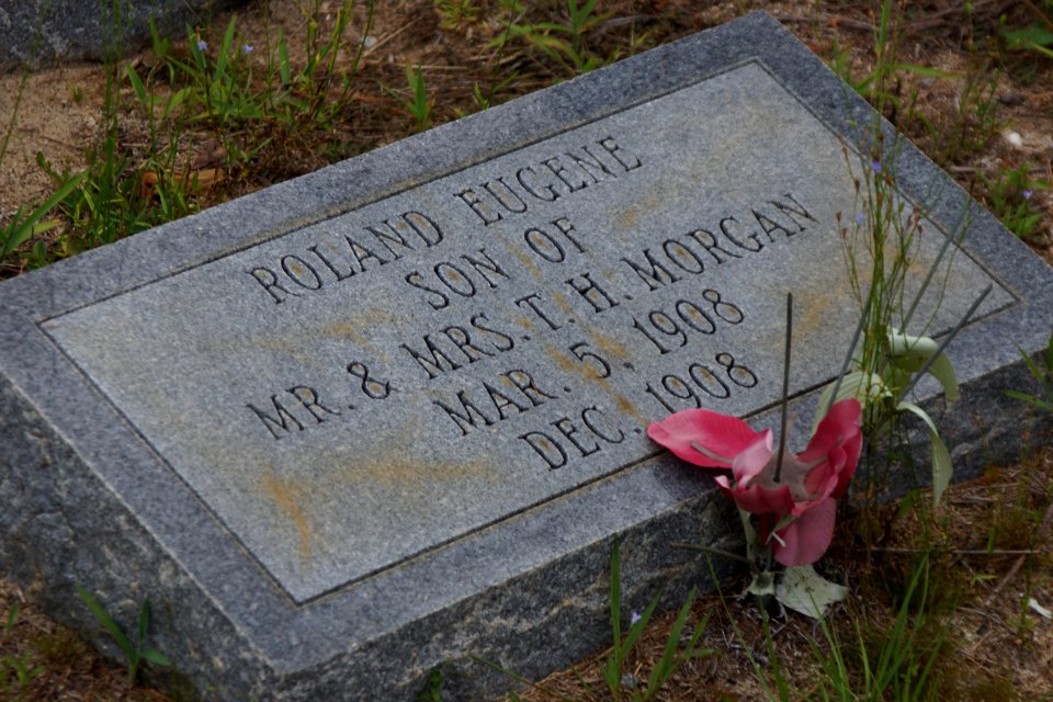 Ryall Cemetery - Clyo, GA