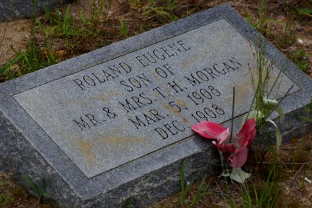 Ryall Cemetery - Clyo, GA