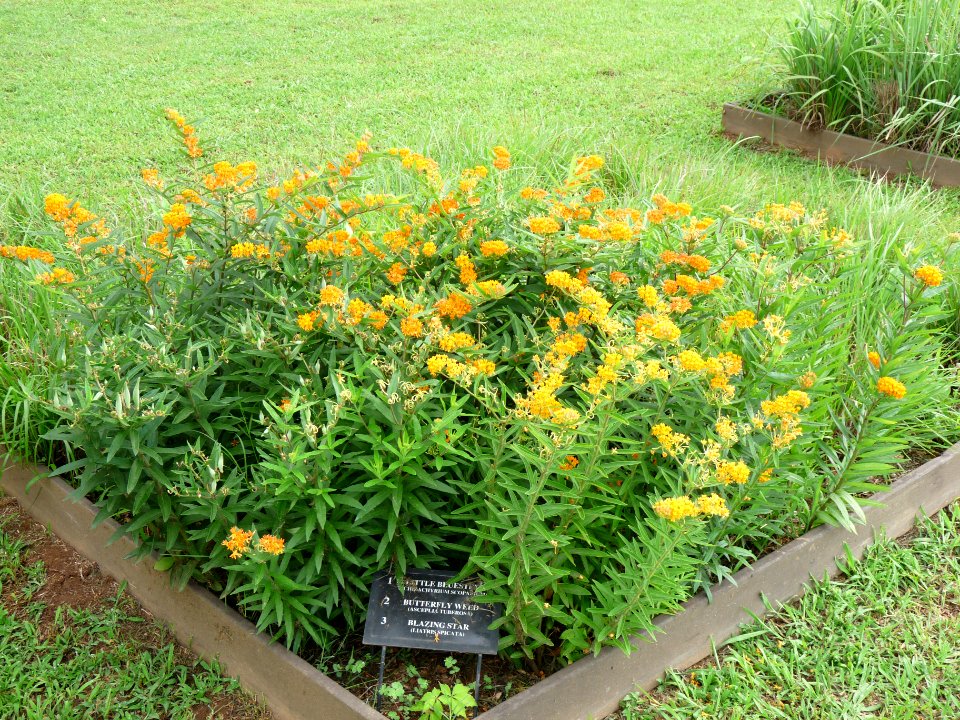 P1010969