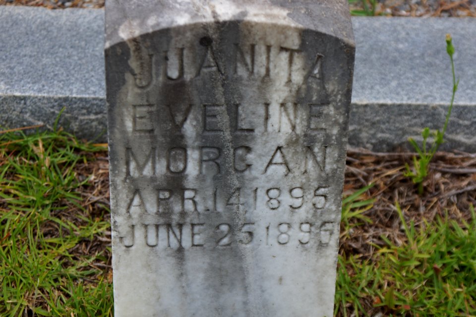 Ryall Cemetery - Clyo, GA