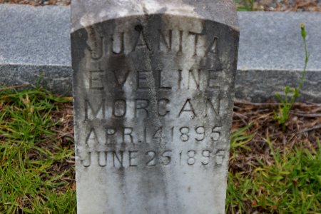 Ryall Cemetery - Clyo, GA