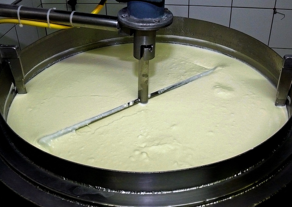 Cow's milk creamy refreshment
