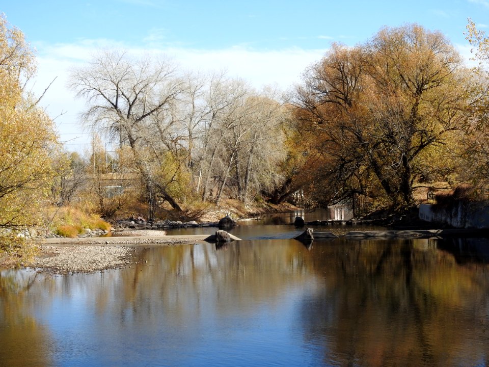 Springer Natural Area - Fort Collins.