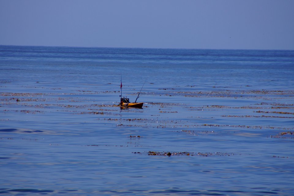 DSC08101