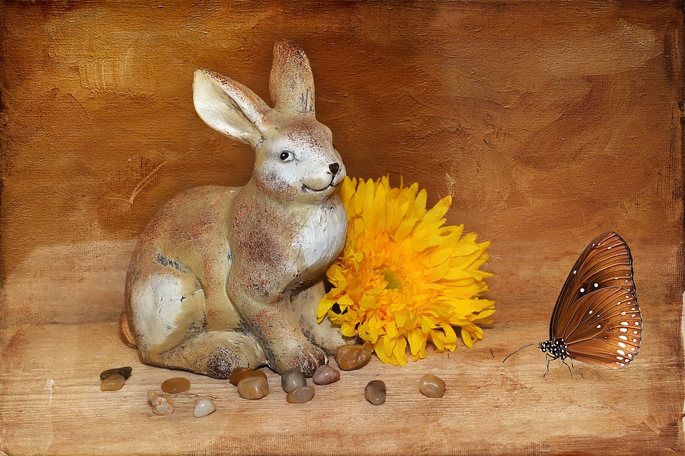 Stone hase flower blossom