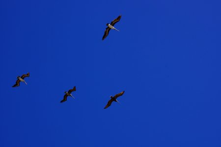 DSC07969