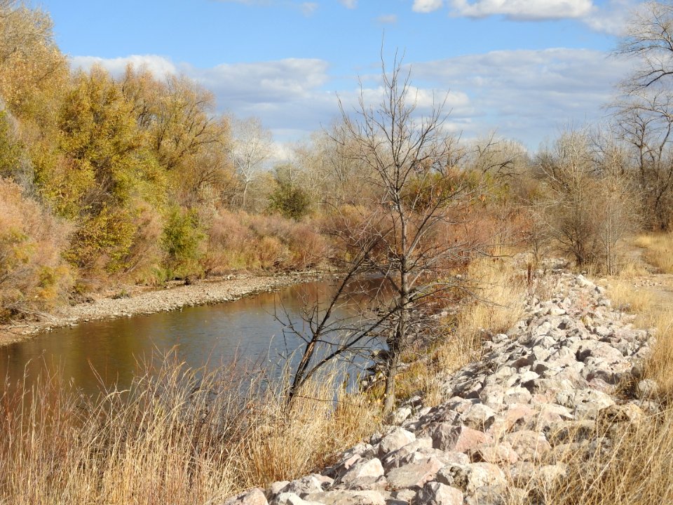 Kingfisher Point Natural Area and Springer