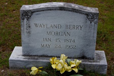 Ryall Cemetery - Clyo, GA