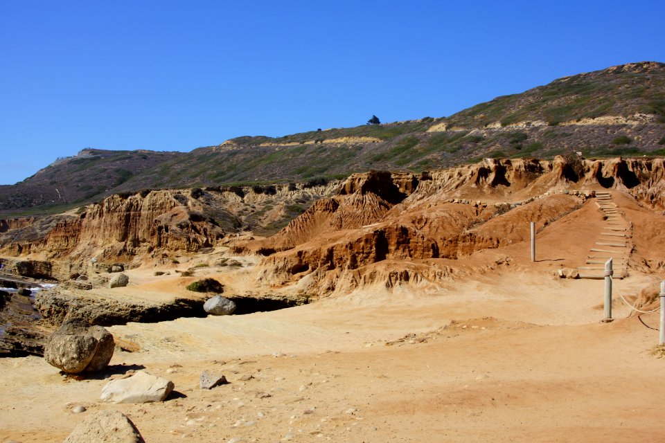 DSC07975