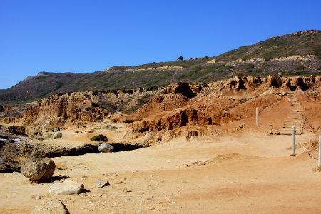 DSC07975