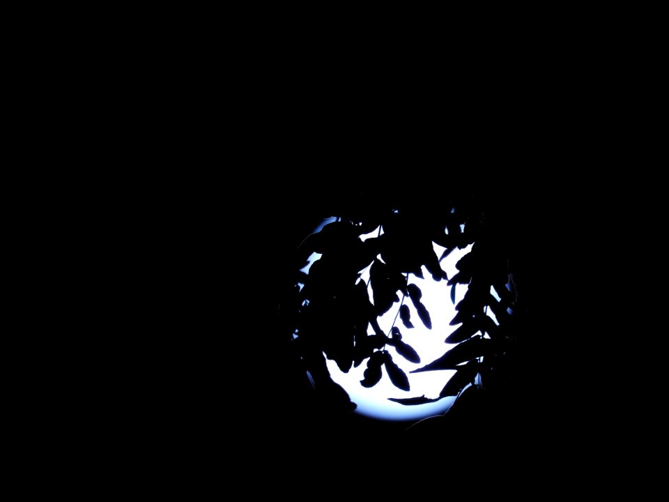 Blue moon, green moon, yellow moon. Tonight's full moon in Fort Collins, Colorado