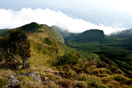 Merbabu, Indonesia photo