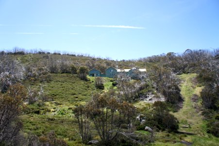 DSC02370