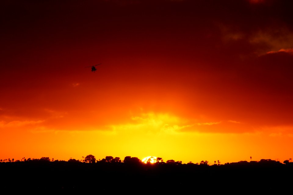 DSC07653