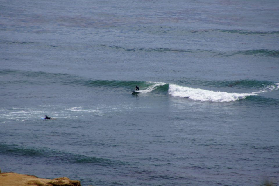 DSC07871