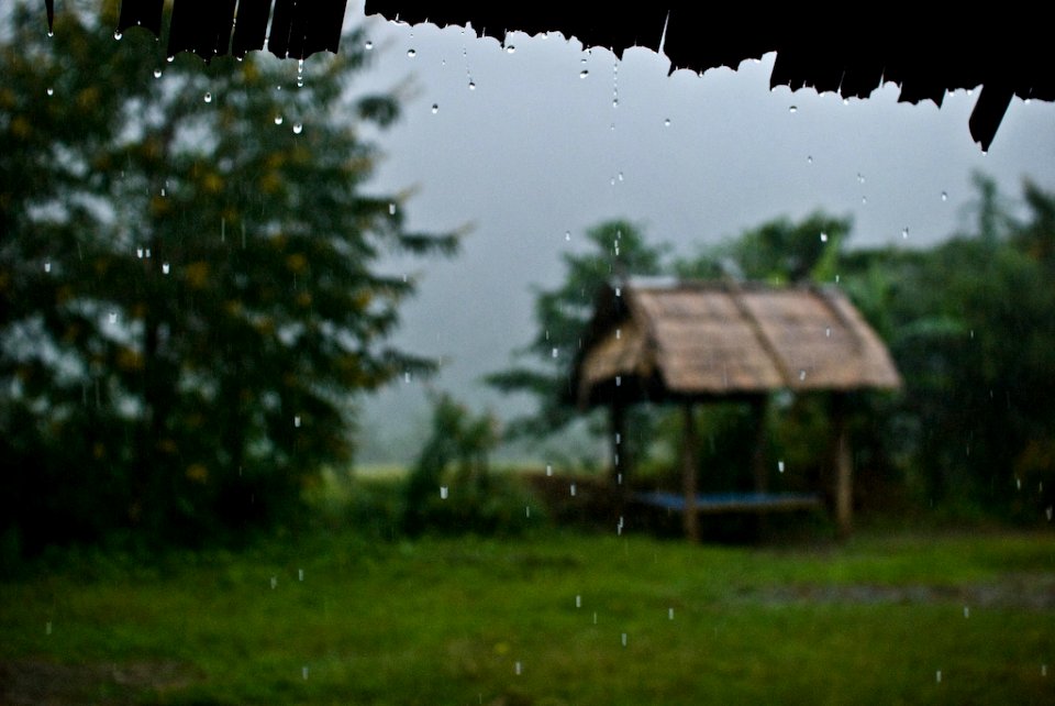 Waiting for the sun