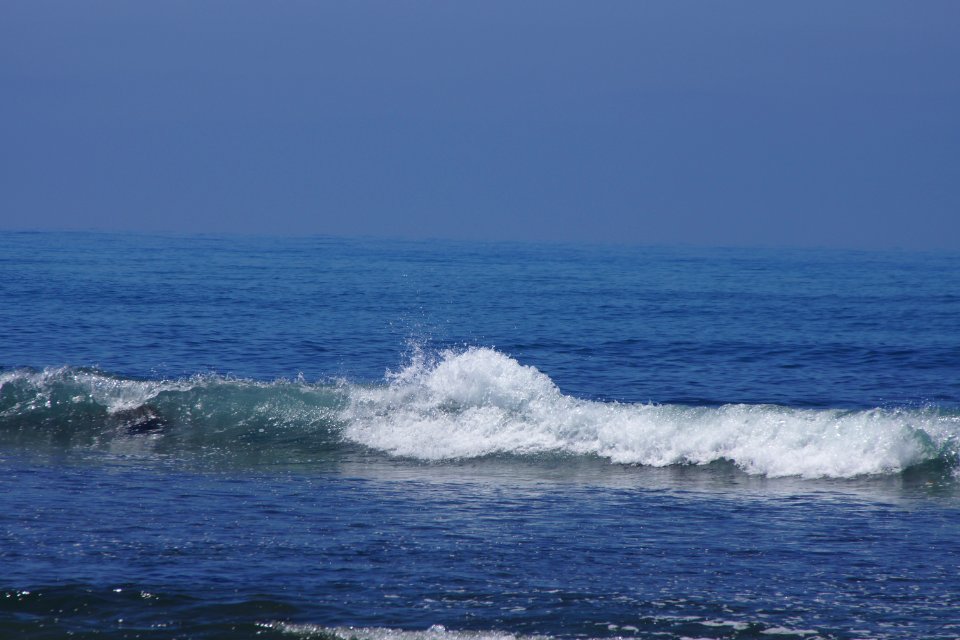 DSC08080