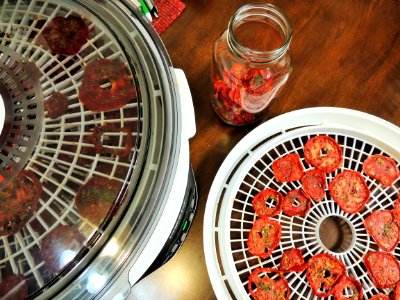 Dried tomatoes, dehyrdator and conditioning jar photo