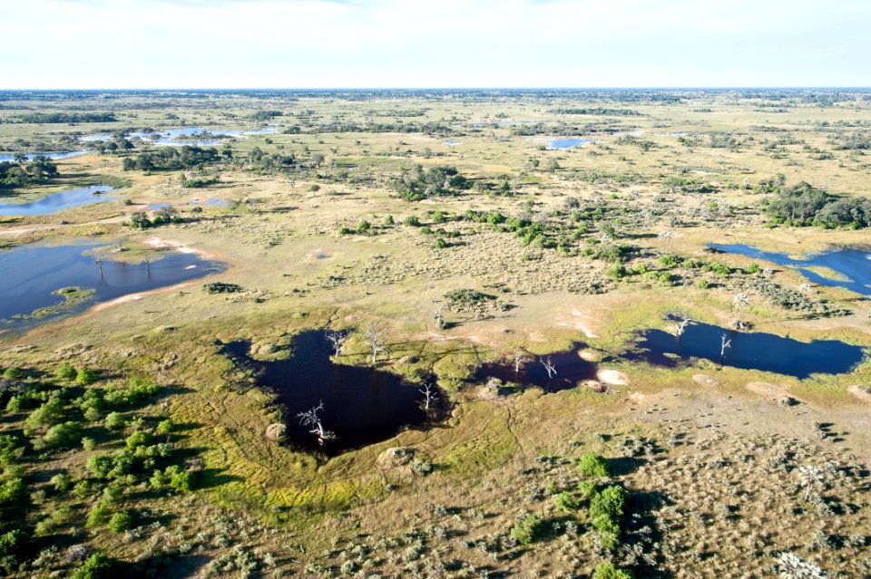 Moremi Game Reserve, Botswana, 3/2012 photo