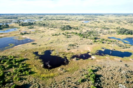 Moremi Game Reserve, Botswana, 3/2012