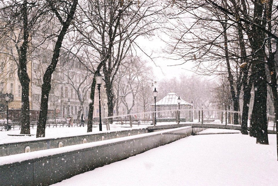 Winter in Bratislava II