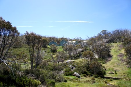 DSC02373