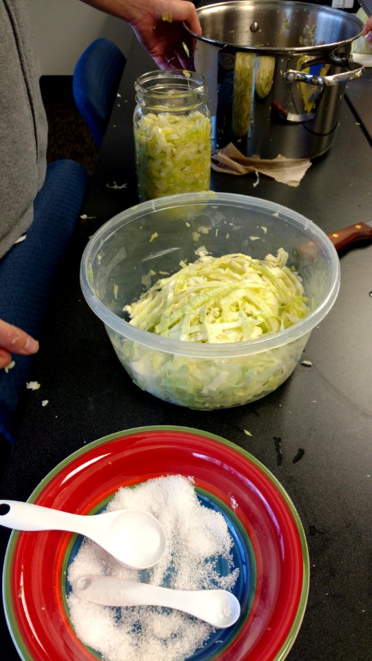Shredded cabbage and kosher salt