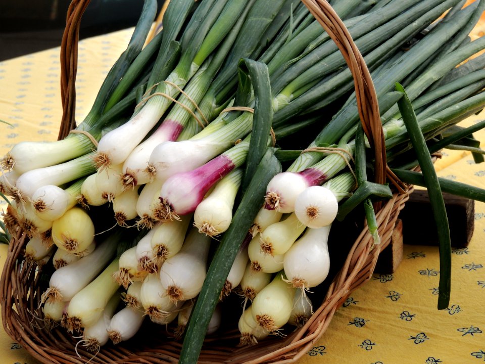 Spring onions