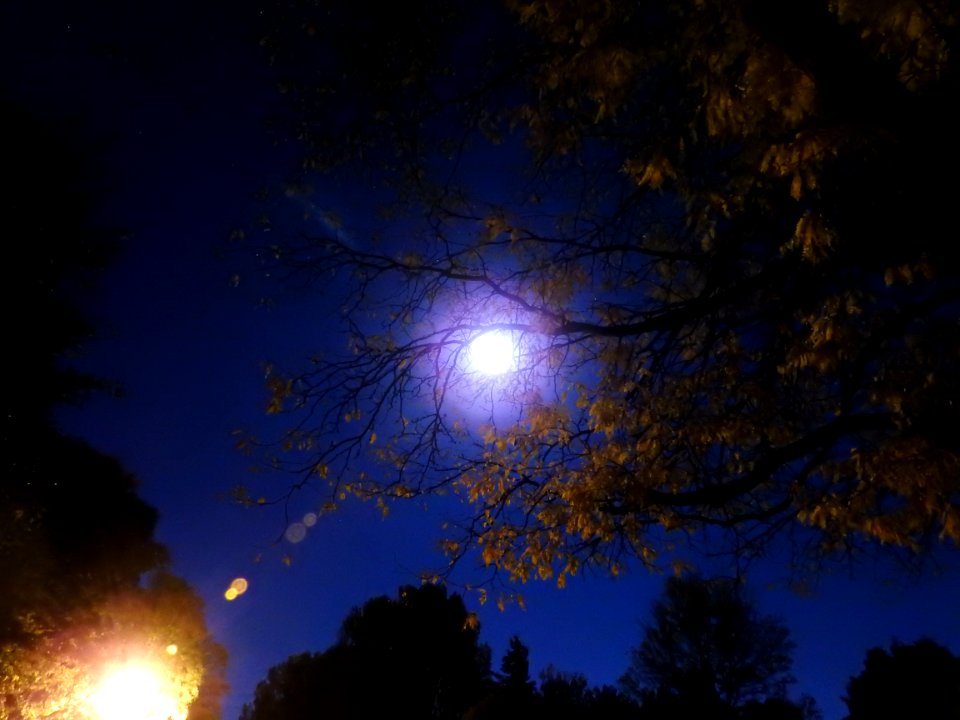 Blue moon, green moon, yellow moon. Tonight's full moon in Fort Collins, Colorado