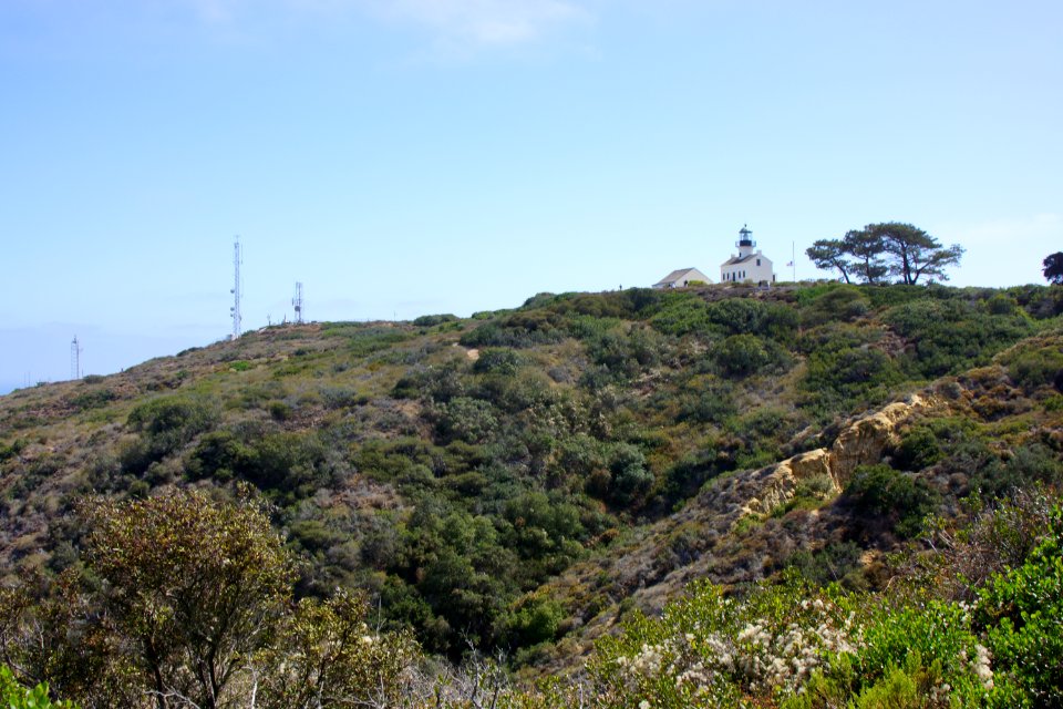 DSC07909