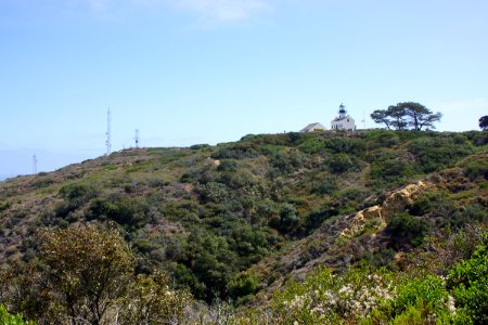 DSC07909