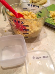 Measured cut corn and freezer container photo