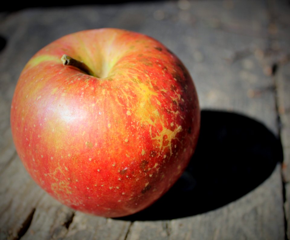 Apple close-up on wood
