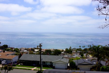 DSC07851