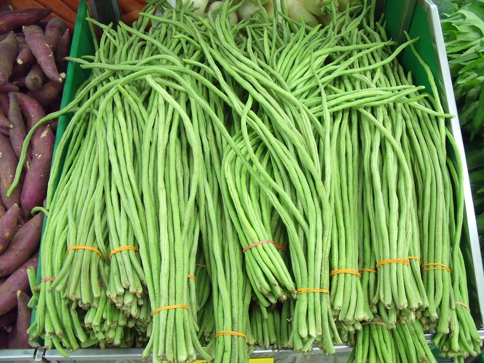 Snake bean vegetable legume