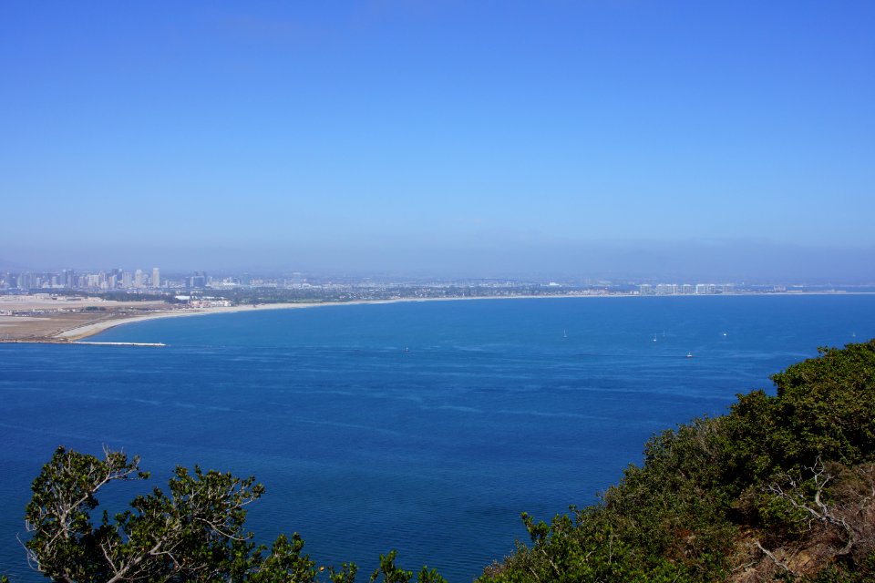 DSC07908