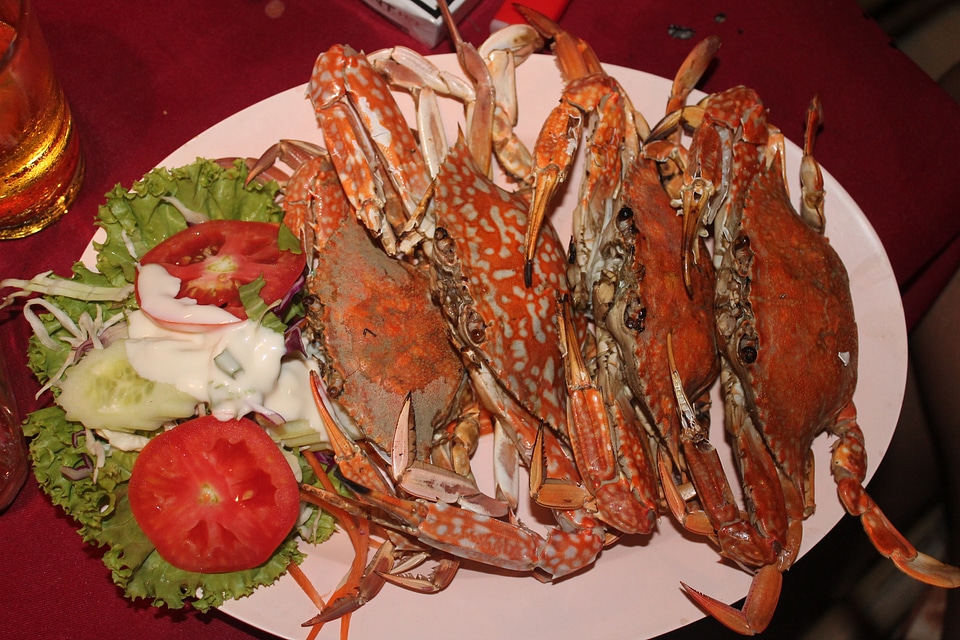 Food crabs Free photos