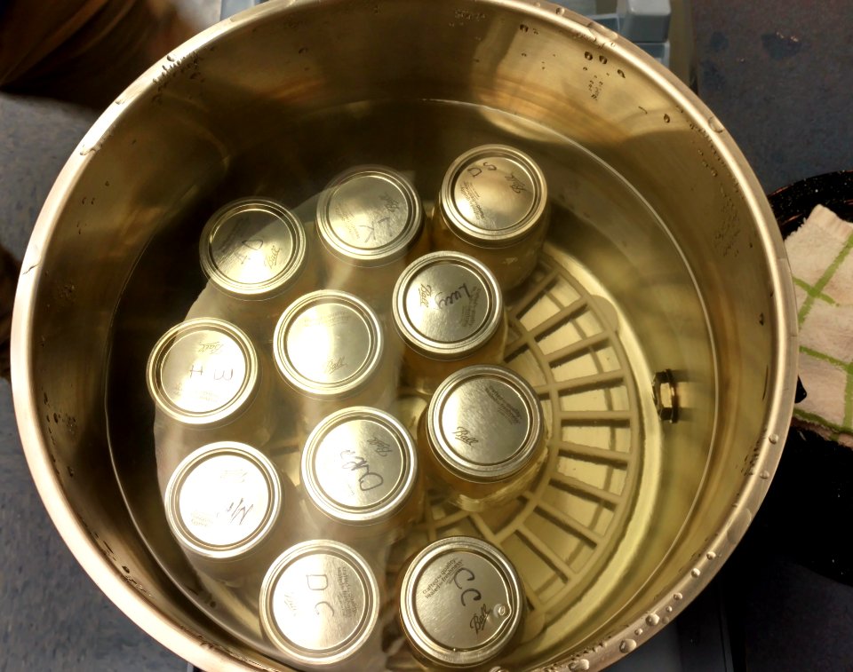 Boiling cans in canner