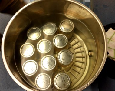 Boiling cans in canner photo