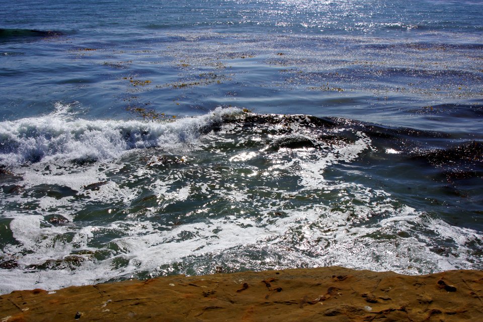 DSC08008