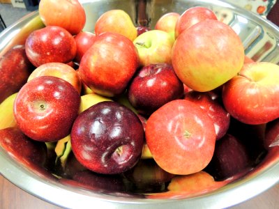 Apples in bowl photo