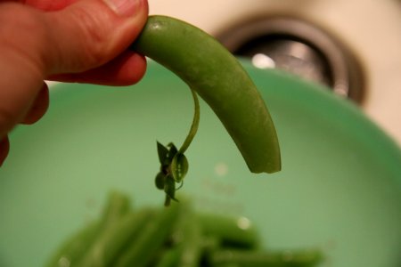 Stem and string being removed from snap pea